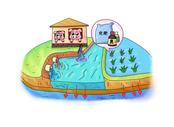 如何保护水环境?