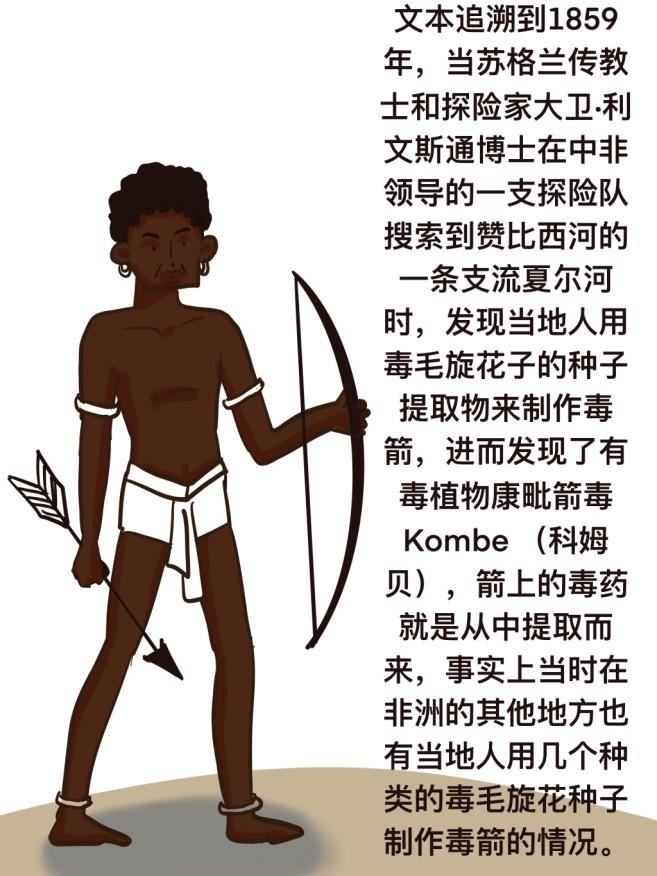 实话石说 | 夹竹桃里的毒毛花苷k,从毒物到强心药的"从良史"