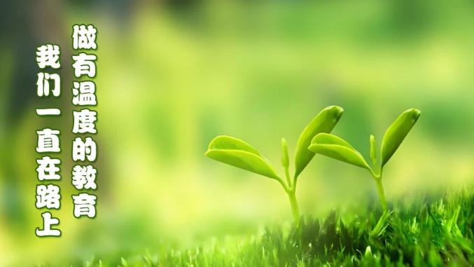 【妇儿发展规划进行时】"家"点精彩 "育"见未来