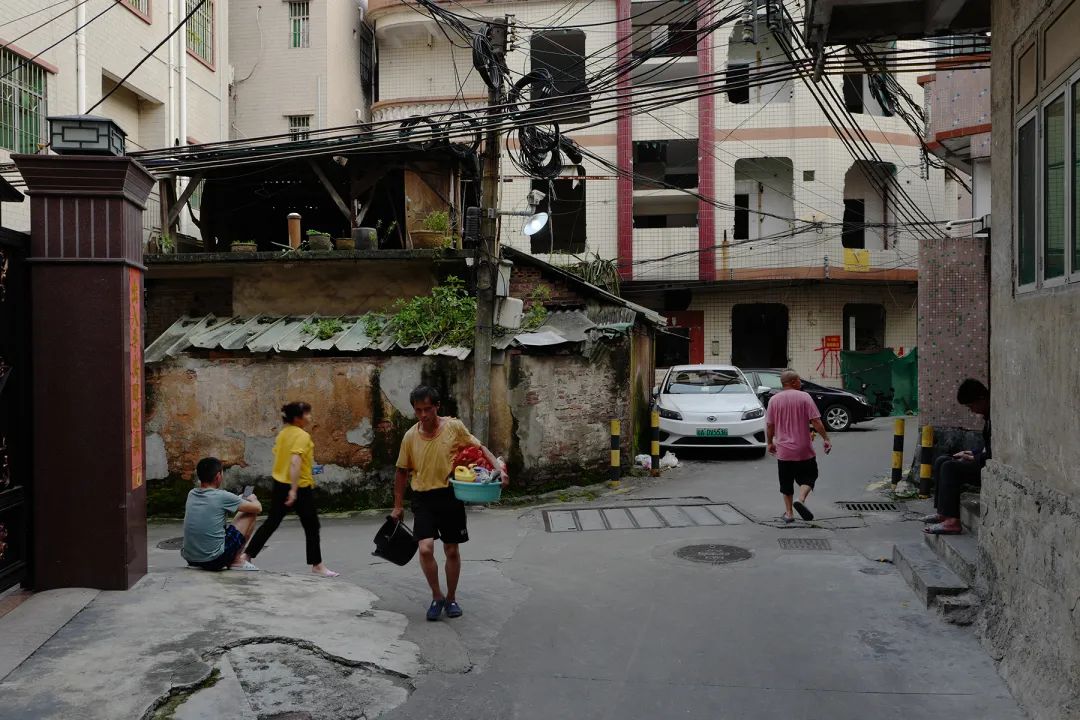 叶丹阳(广东广州)20240502. 河北邯郸.雲思远(河北邯郸)20190818.