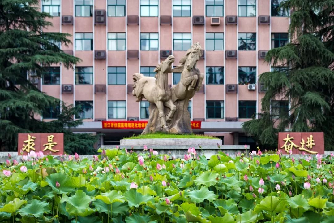 华家池校区华家池校区华家池校区位于杭州市老城区东部,钱塘江北岸