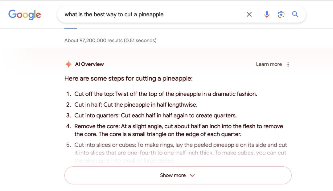 披萨上涂胶水 建议用户吃石头 毒蘑菇 谷歌又被大模型带沟里