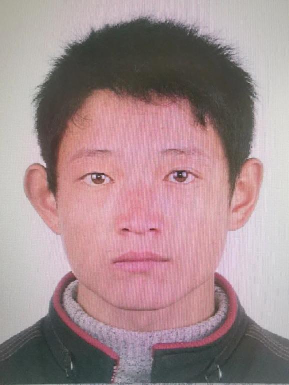 司法权威,本院在执行马金彪与张斐斐提供劳务者受害责任纠纷一案中,被