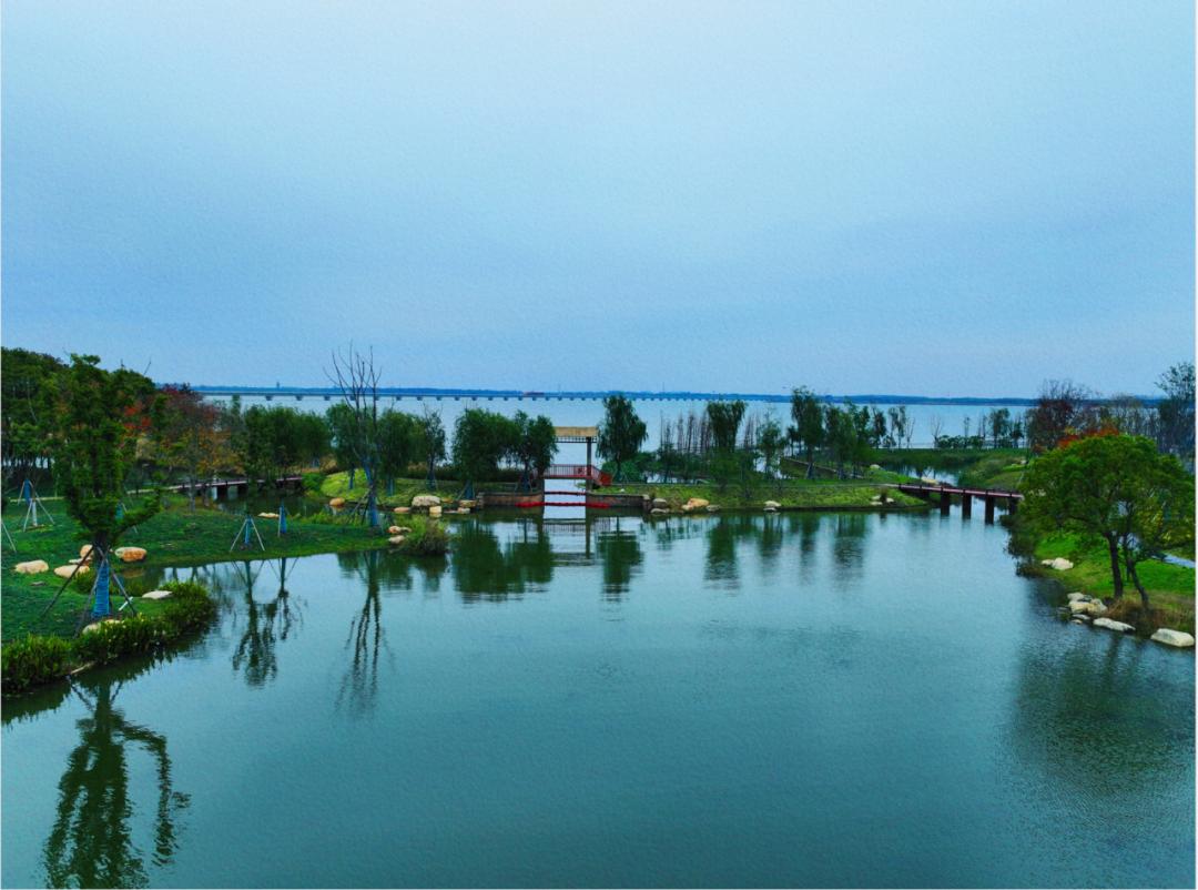 【城市名片】绿色共建,跨域共生!中建八局打造河湖治理新样板