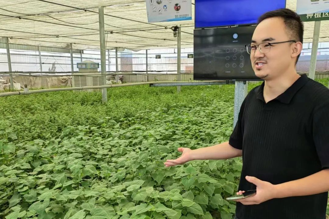 袁凯在充分调研,多方考察听取建议的基础上,结合粮食安全要求,决定不