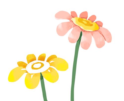 大片亦或是甜蜜q弹的番薯庆糕一边是自然的滋养一边是口腹的满足每一