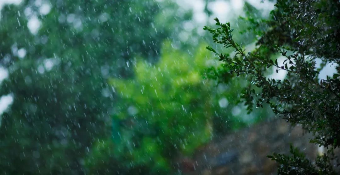 一半阴雨一半晴图片图片