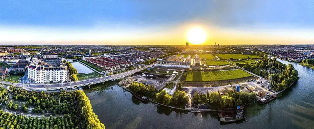 聚焦高质量发展|戴南镇:勇挑大梁担重任  争当发展顶梁柱