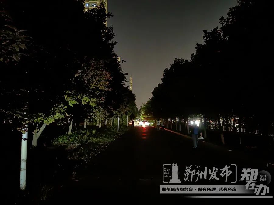 小布来了|小布这周的帮办成果请查收