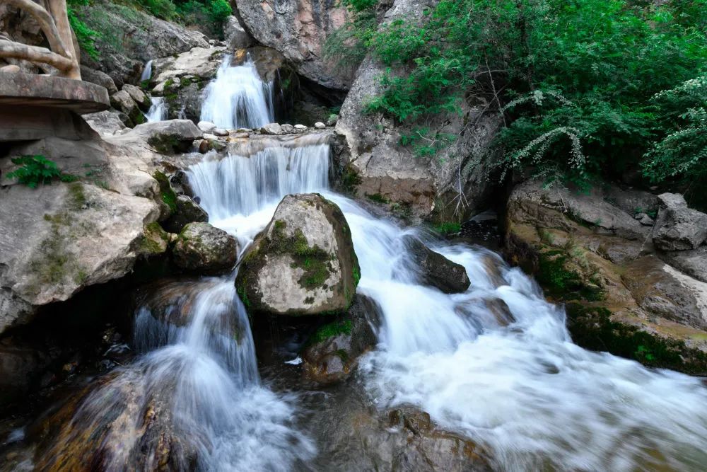【央媒看漳县】绿荫蔽日遮阳山