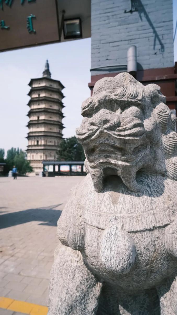 景区一瞧离着老远就能看到高耸的白塔所以我把它推荐给只想静静拍照的