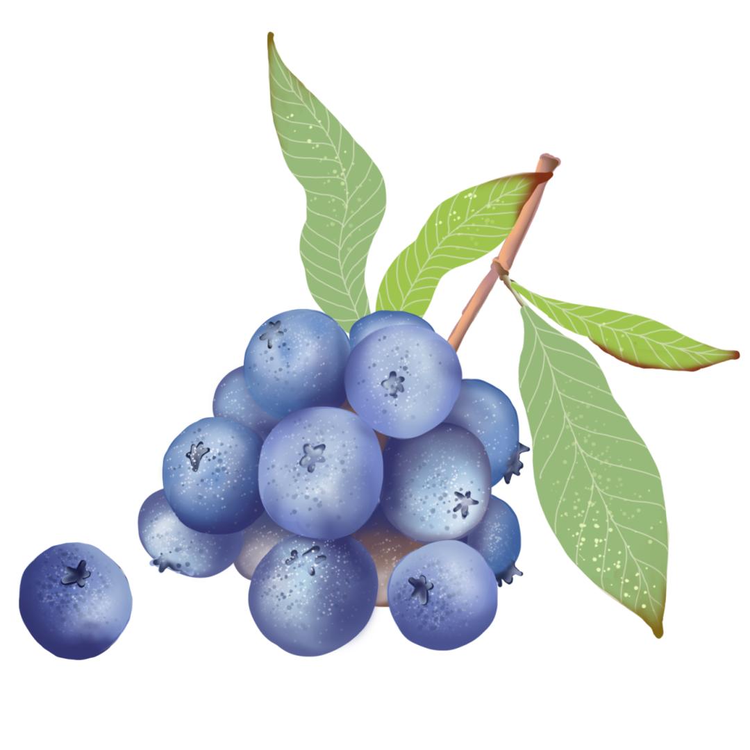 赴约啦~这场"蓝"以拒绝的约会,真的很"莓"味!