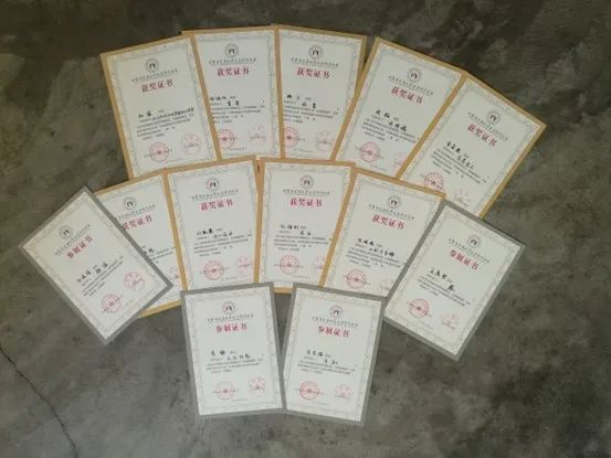 又到桃李时,更待莘子来——天水师院欢迎你 | 美术与艺术设计学院