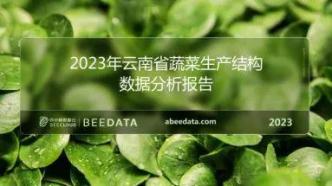 2023年云南省蔬菜生产结构分析简报