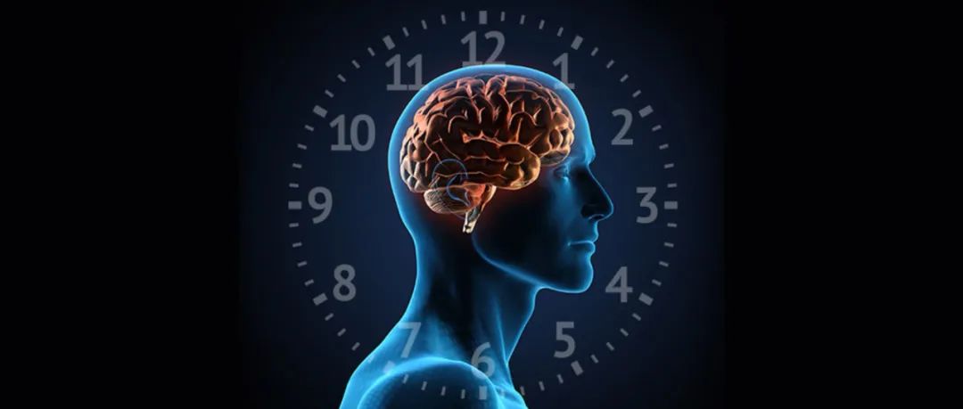 排版丨水成文所有已知的动物都会都会睡眠或表现出某种形式的睡眠行为