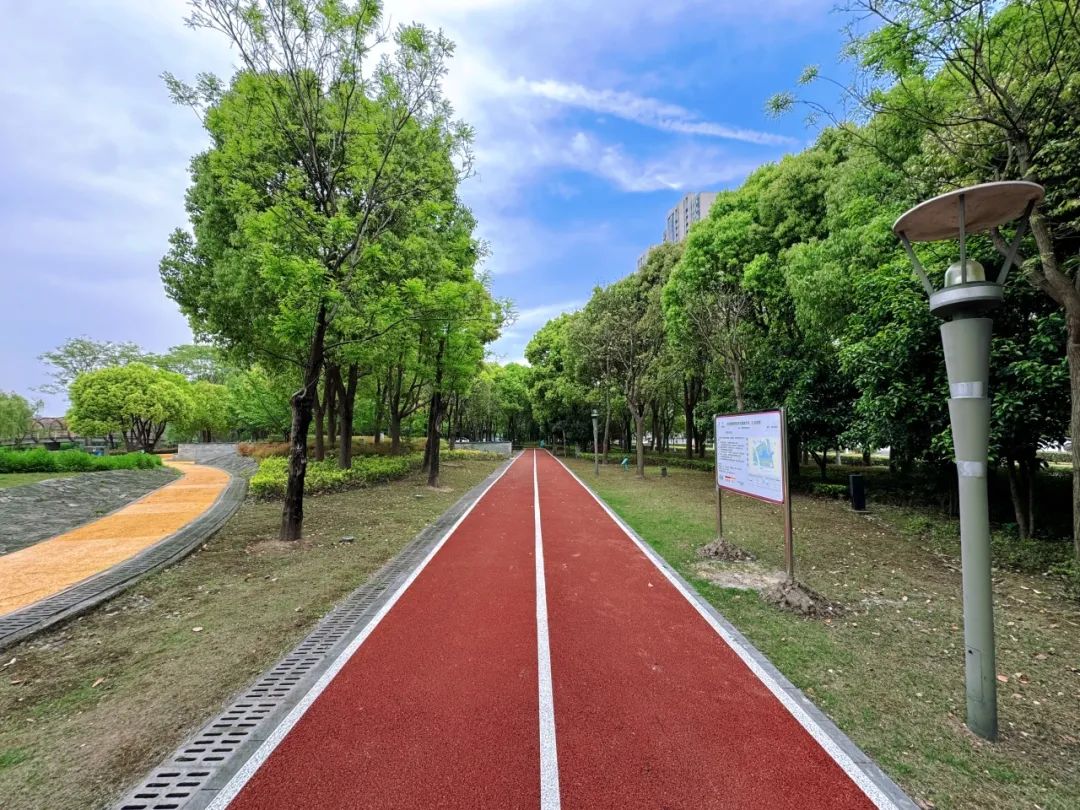 走起!嘉定这里新建一条市民"家门口"的健身步道