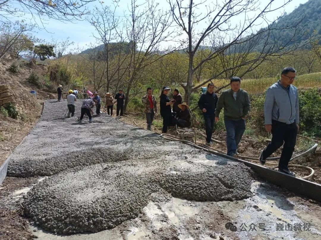永建镇:探索多元化发展模式 壮大村集体经济