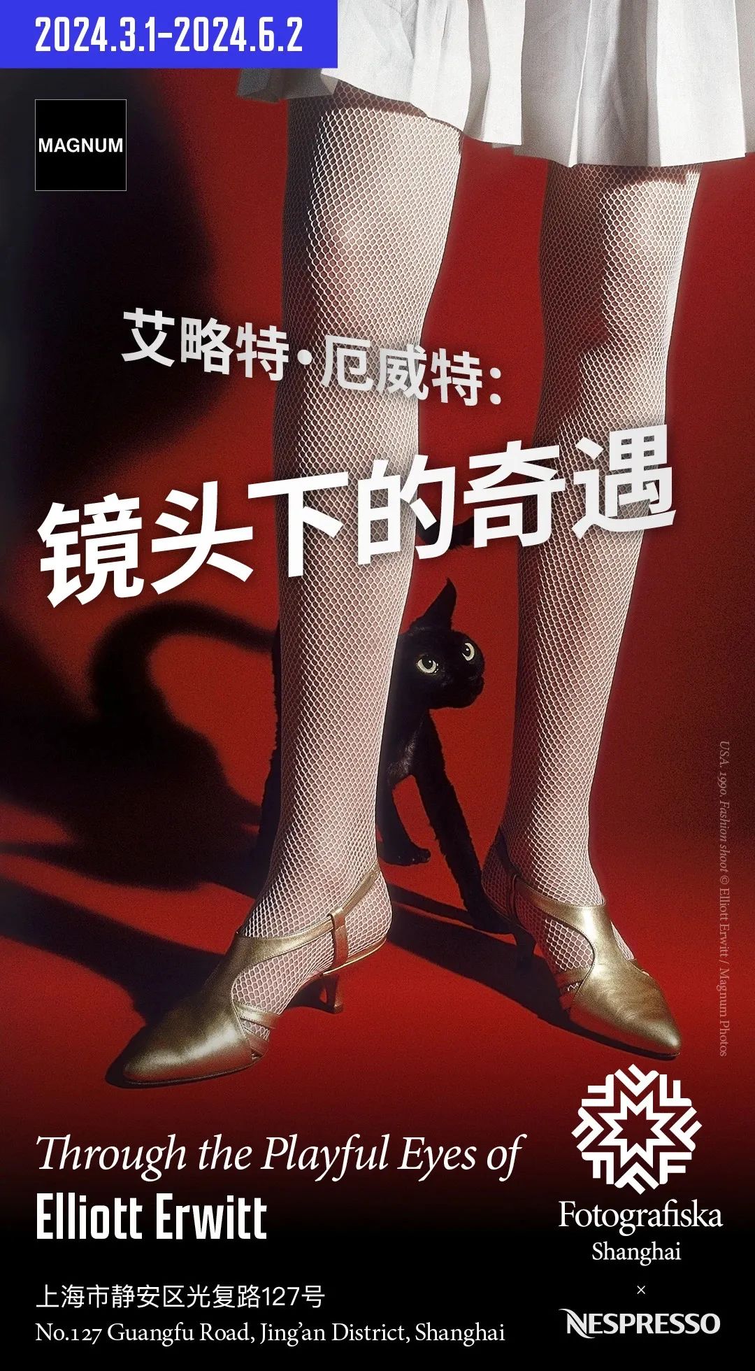 笔记|艾略特·厄威特的奇遇镜头