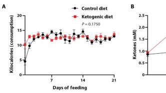 《科学》子刊：生酮饮食会促进细胞衰老