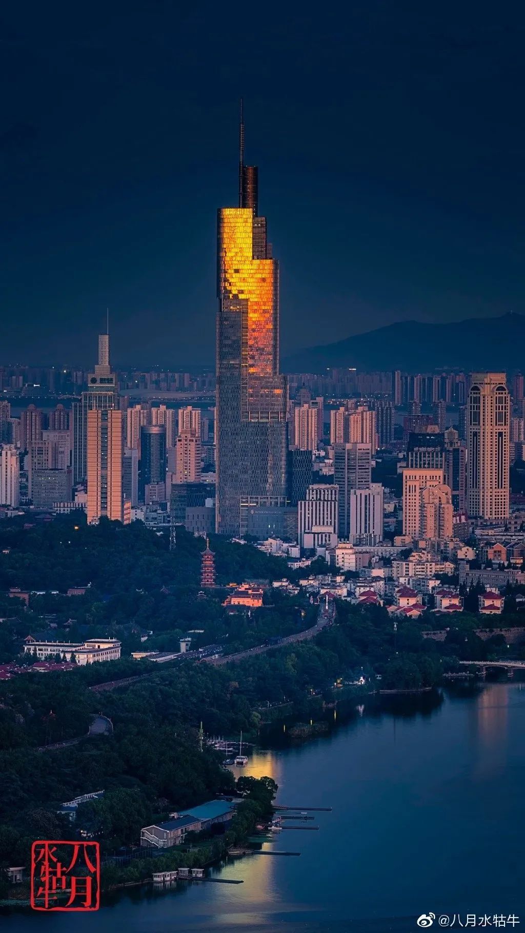 看生物医药产业的"南京现象"