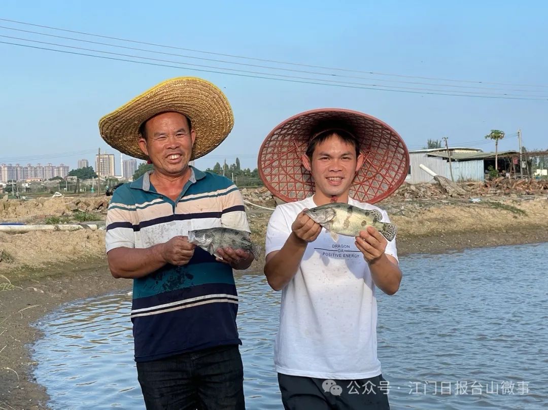 奋战百千万工程 | 大江镇:构建"商埠侨韵"魅力城镇