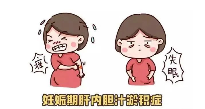 孕妇胆汁淤积症图片图片