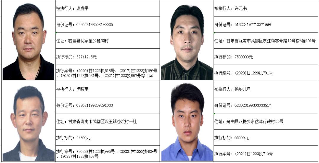 宕昌县人民法院公布失信被执行人名单公告(第三期)
