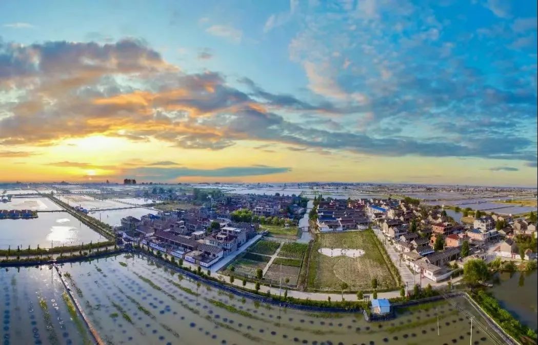 聚焦高质量发展|安丰镇:凝心聚力谋发展 全力以赴促