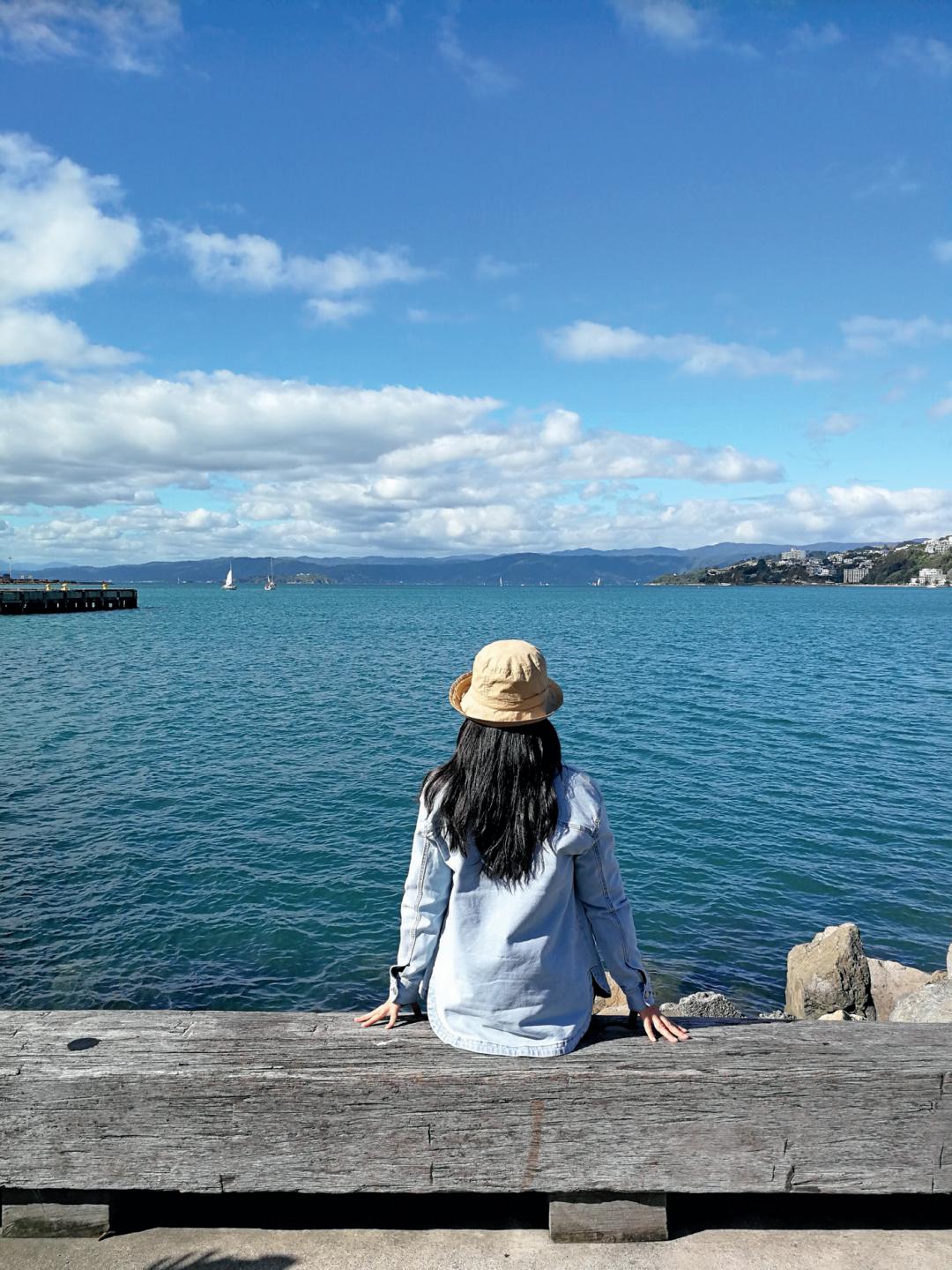 我住在位于哈特市下哈特镇的表姐家,从那里开车到新西兰首都惠灵顿约