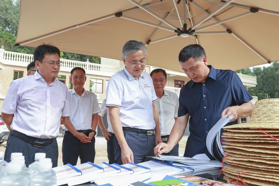 周红波调研三亚市优化营商环境工作