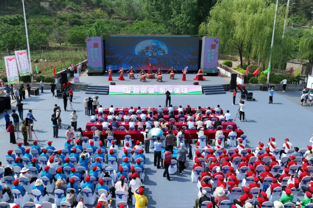 莱芜茶叶樱桃节图片