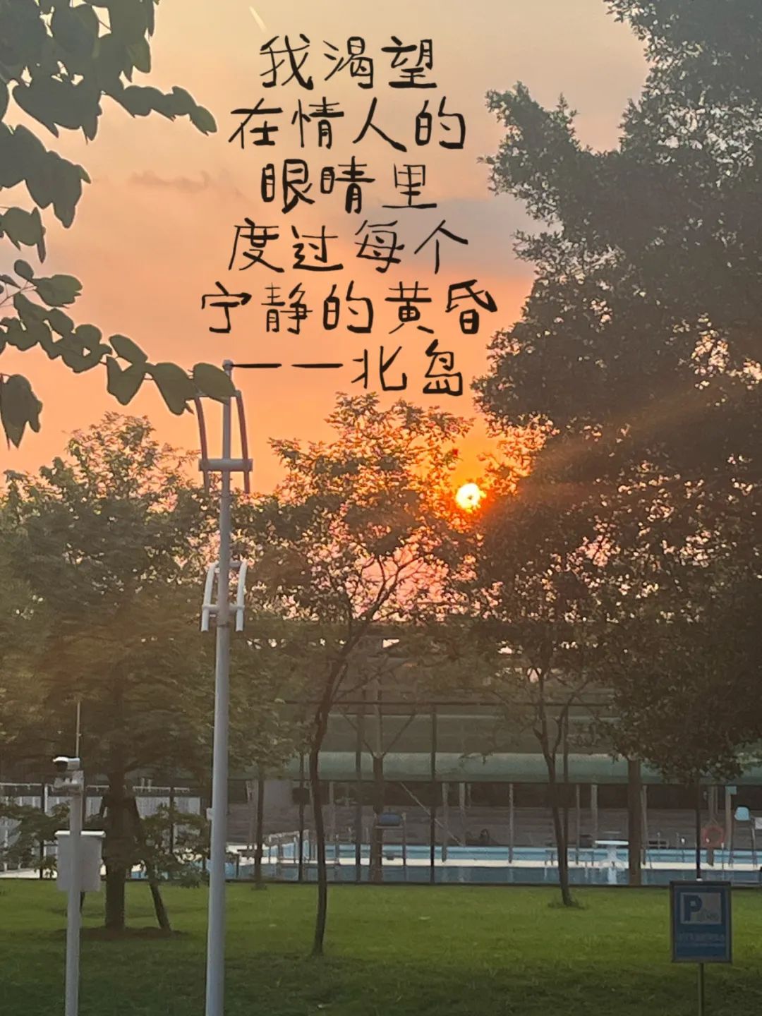 雨中,"鲤"的拥抱暖暖的