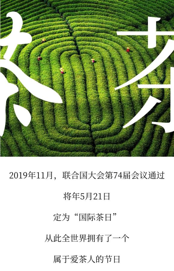国际茶日丨走,到云龙吃茶去!