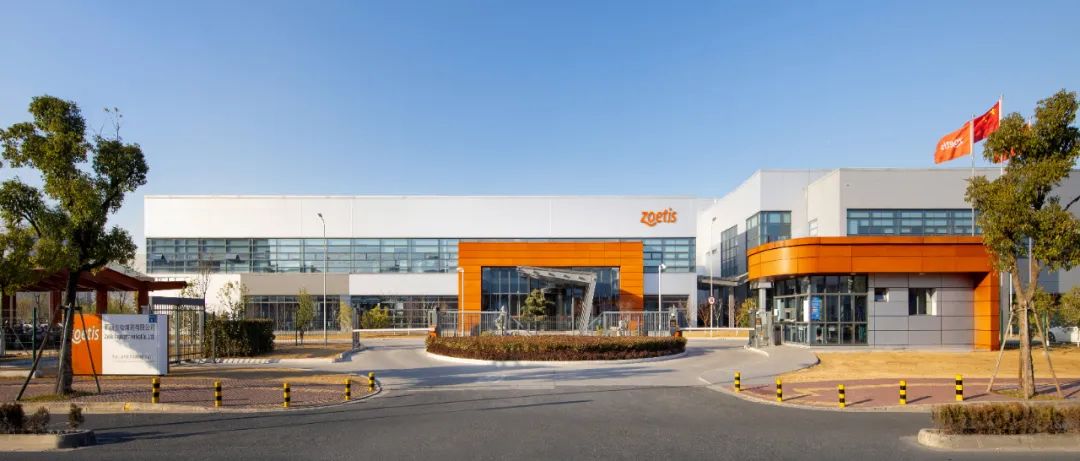 医疗器械 "链"向未来 | 起势,产业集群"向新而行"!