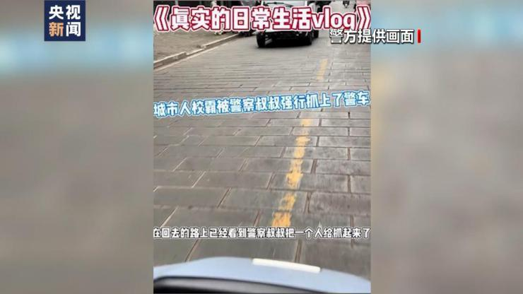 简短剧本博主,短剧本平台