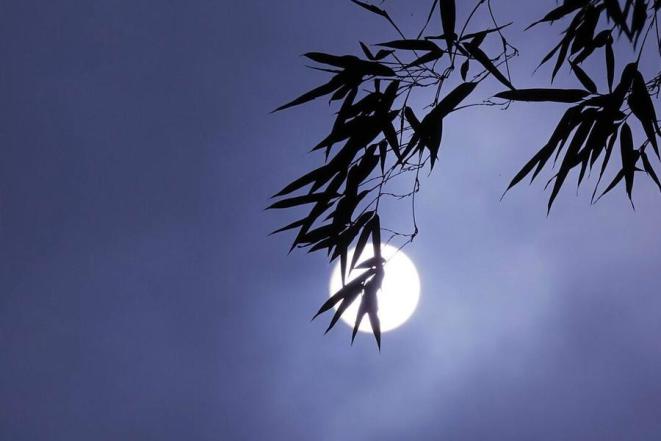 看了苏轼的一生,才明白人生再难,也要好好吃饭