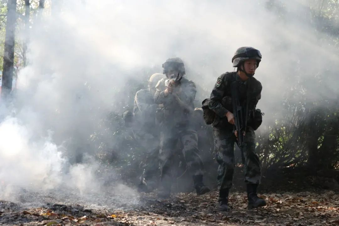 当特战女兵重返校园,网友:又甜又酷!