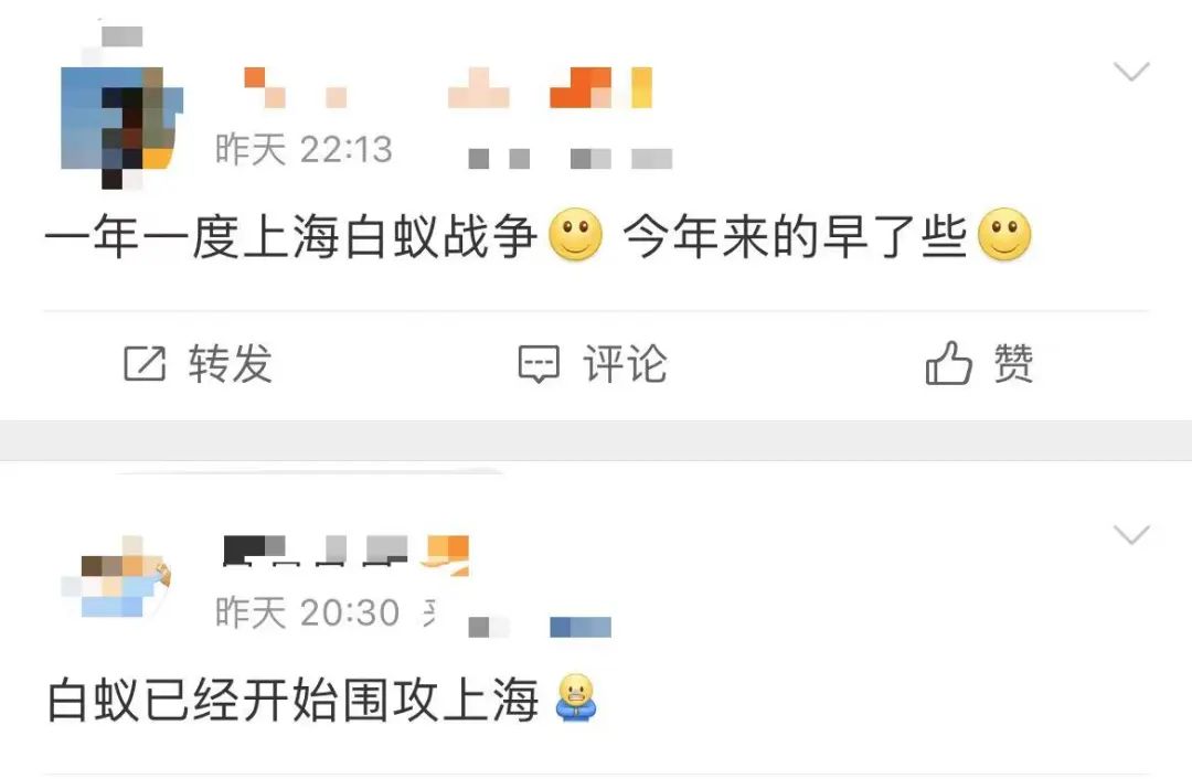 上海近期大规模爆发，看得人头皮发麻，有人吓得不敢出门！这么做可能扩大危害→