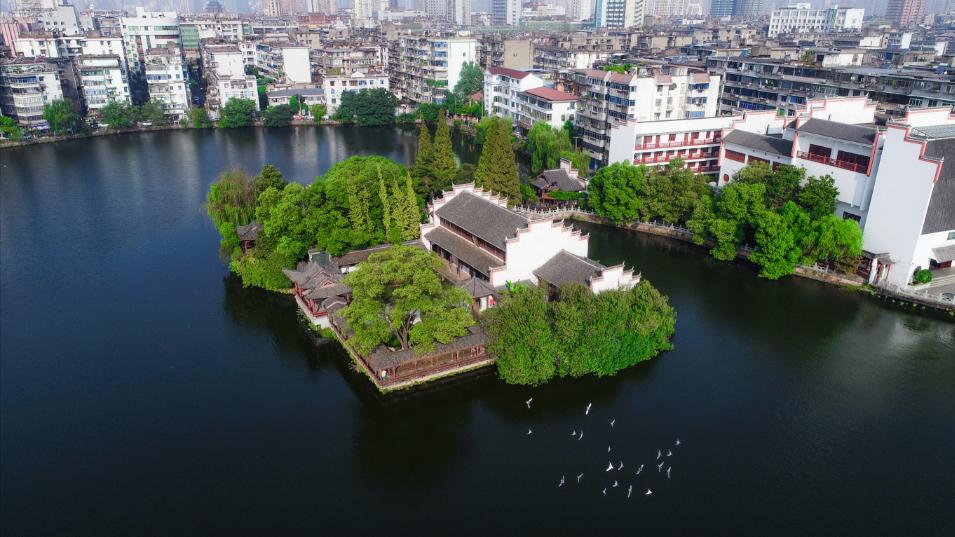 八一公园walk | 夹竹桃花开,初夏氛围感满满!