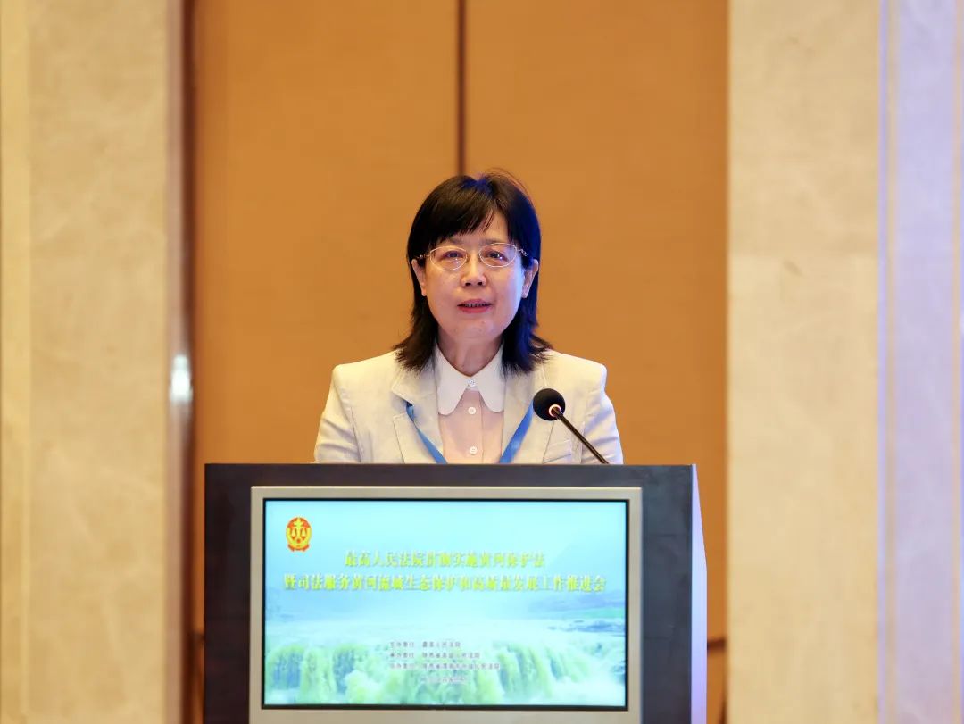 最高法党组成员,副院长杨临萍主持会议.