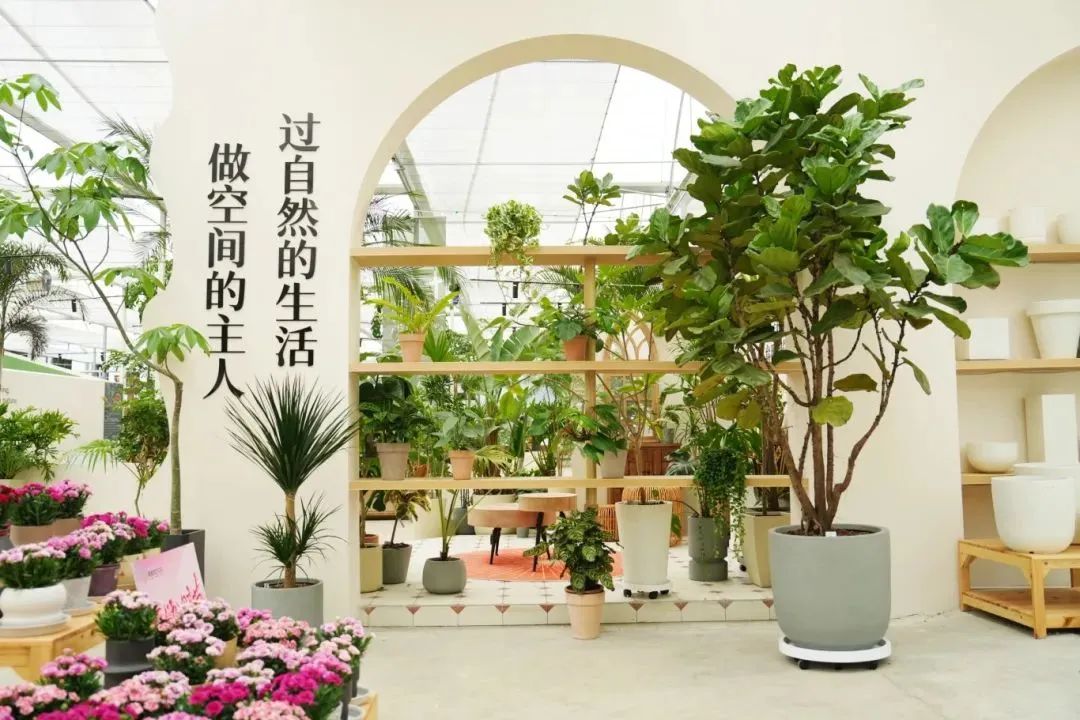 开园首月,世园会温江分会场入园游客近74万!