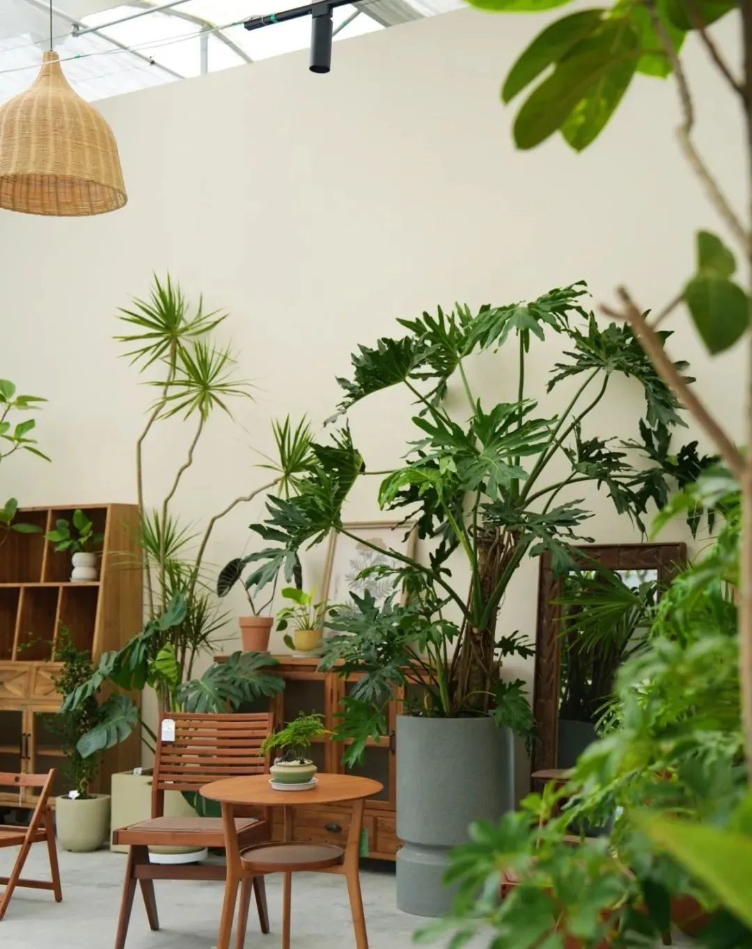 开园首月,世园会温江分会场入园游客近74万!