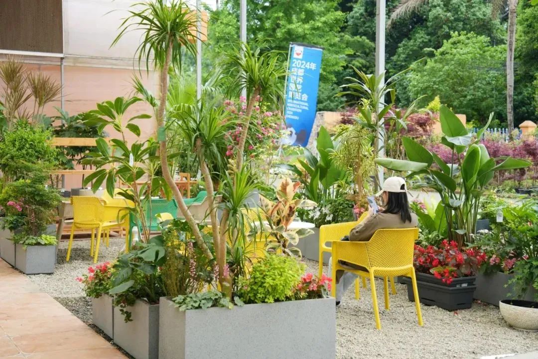 开园首月,世园会温江分会场入园游客近74万!