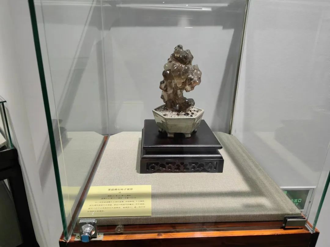 【展讯】"湾区藏海:上海市民收藏展"与您相约金山区博物馆