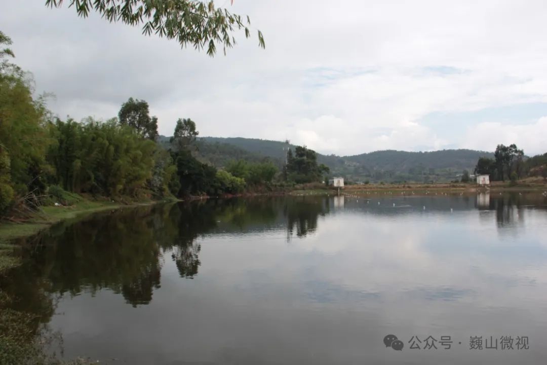 【乡村振兴】永建镇左氏竹编工艺"破竹成路"带动群众增收