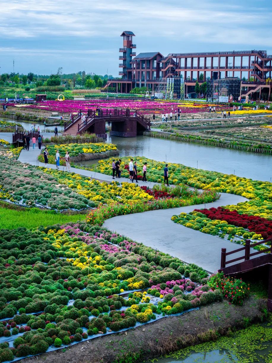 聚焦高质量发展|千垛镇:聚力农文旅融合  创新推动高质量发展