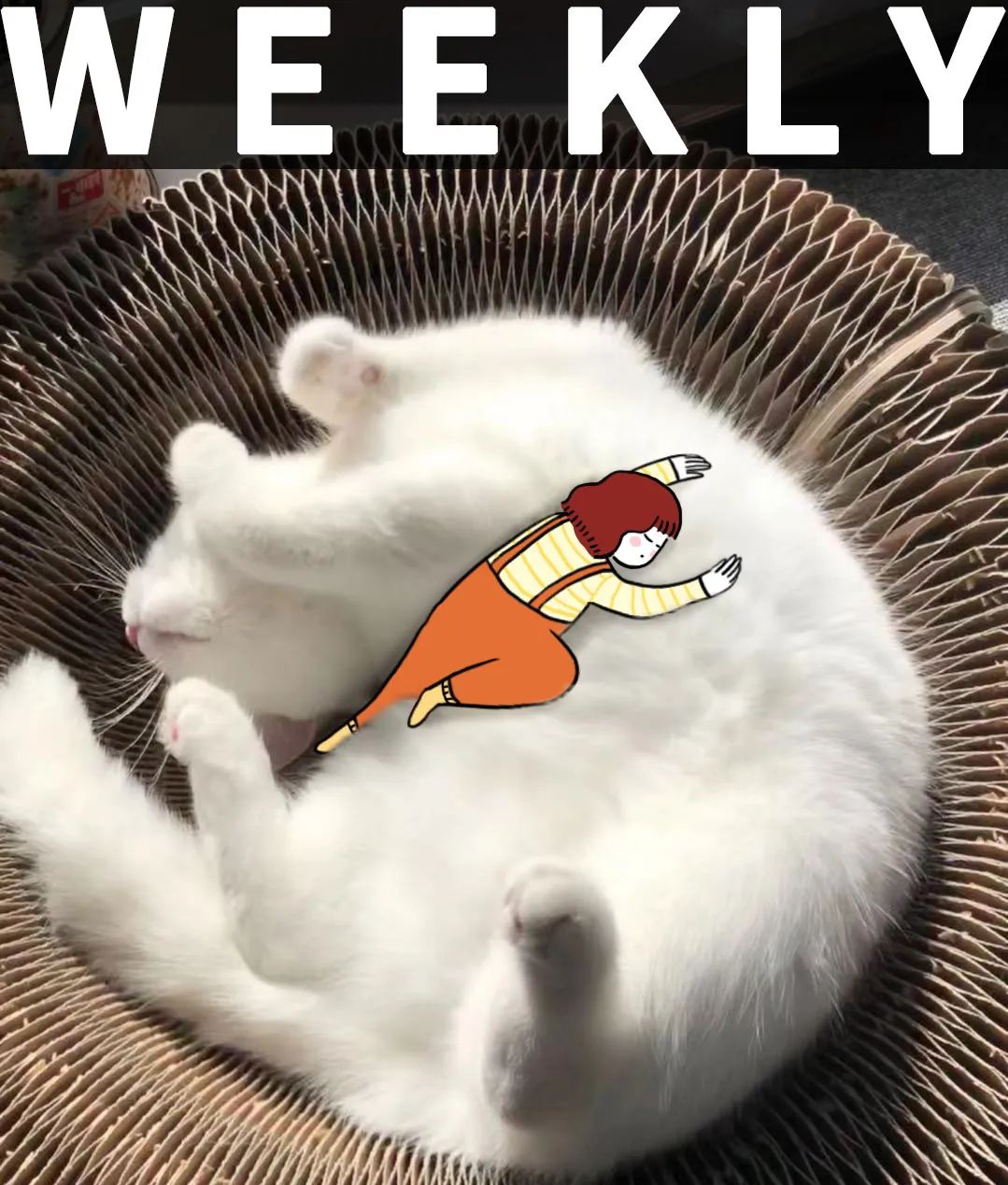 效应"这么火,我们找到了它的平替_澎湃号·湃客_澎湃新闻-the paper