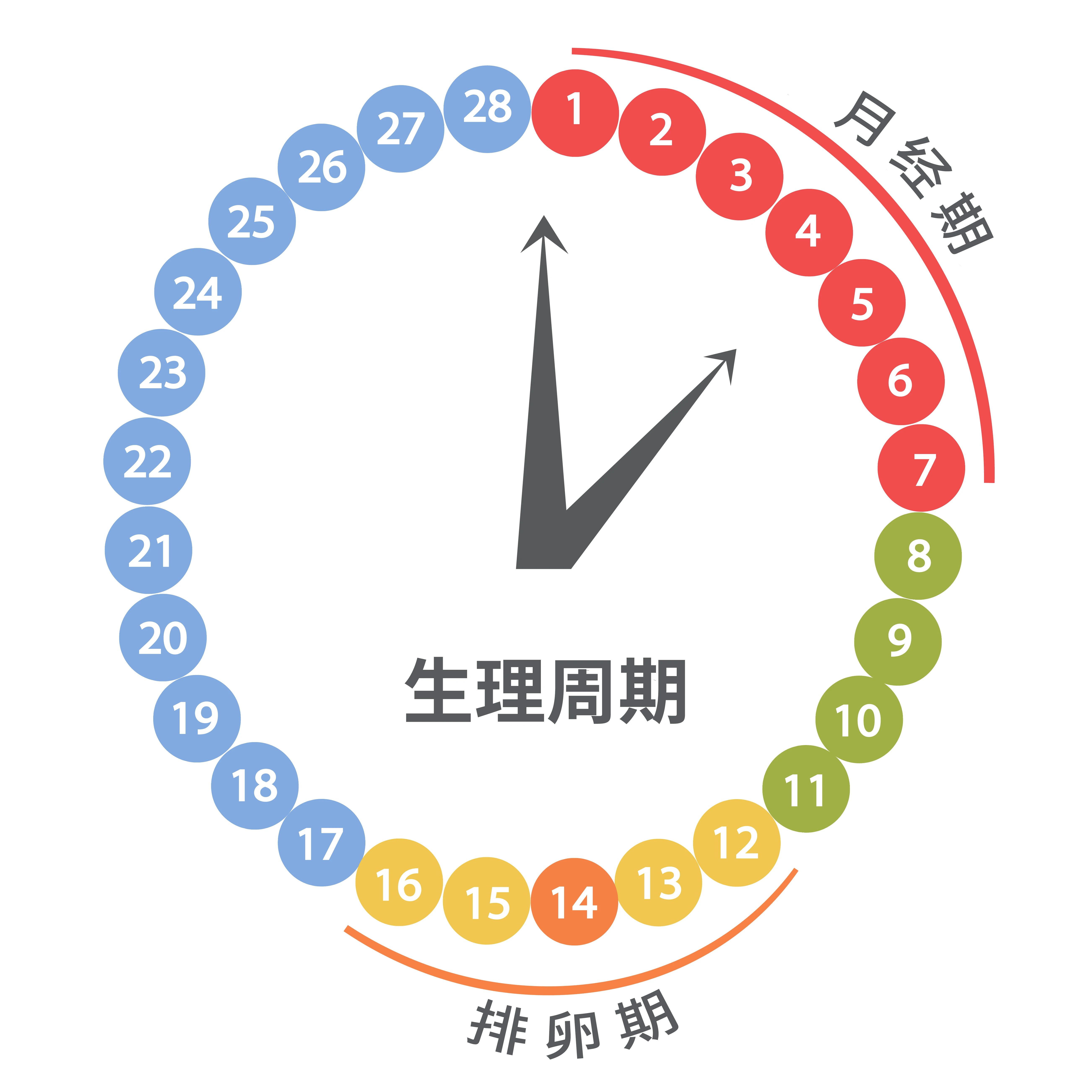 最准的安全期表图图片