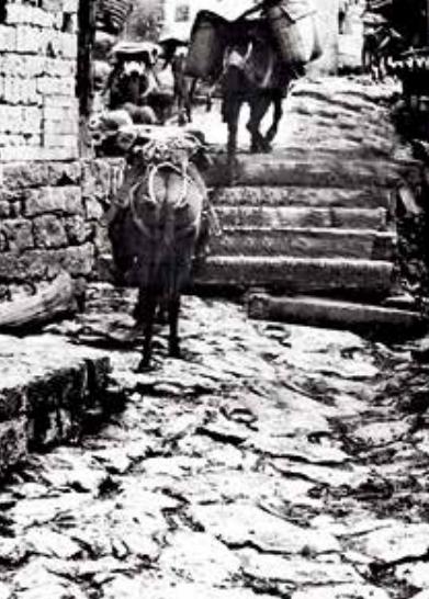 【茶香西双版纳】西双版纳境内三大茶马古道