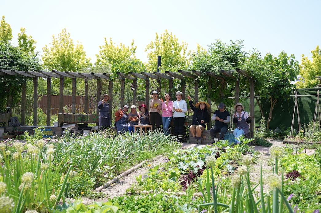 他们在天津市中心造700㎡小森林,快乐抱团养老